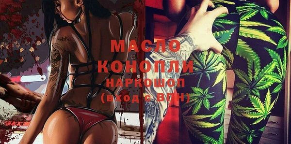 mix Инта