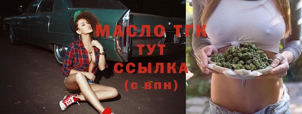mix Инта