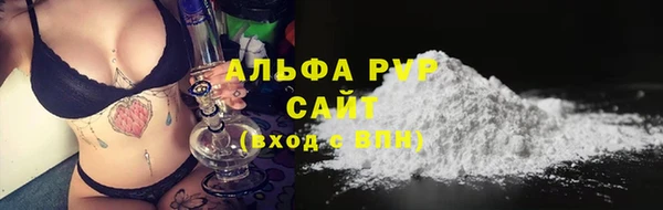 стаф Инсар