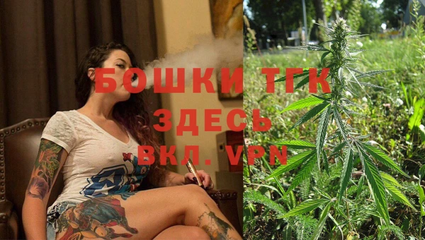 стаф Инсар