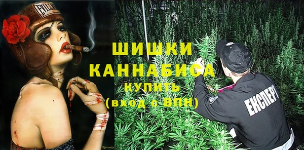 mix Инта