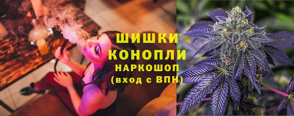 стаф Инсар