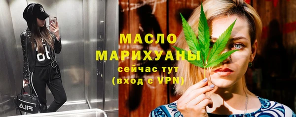 mix Инта