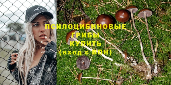 спайс Иннополис