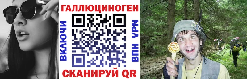 Купить где  Исилькуль  Псилоцибиновые грибы Magic Shrooms 